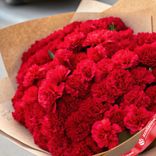 Маленькое фото 2: Букет из 50 ярко-красных гвоздик в крафтовой упаковке