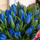 Маленькое фото 3: Букет из 25 голубых тюльпанов с зеленью в бежевой коробке, Россия