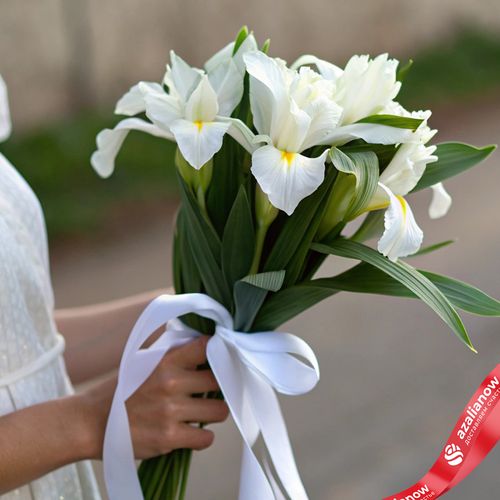 Букет из 7 белых ирисов с белой лентой