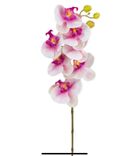 Фото флориста 1: Орхидея Искусственный 85 см Розовый
