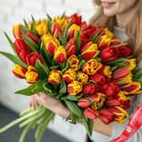 Маленькое фото 1: Букет из 50 красно-желтых тюльпанов, Россия