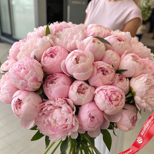 55 розовых пионов, Голландия