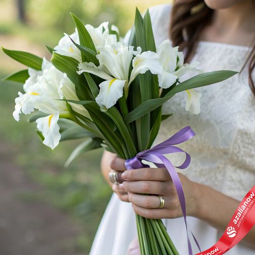 Букет из 7 белых ирисов с фиолетовой лентой