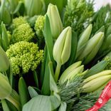 Маленькое фото 3: Букет из 25 зеленых тюльпанов с зеленью в бежевой коробке, Россия