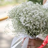 Маленькое фото 2: 7 белых гипсофил с белой лентой