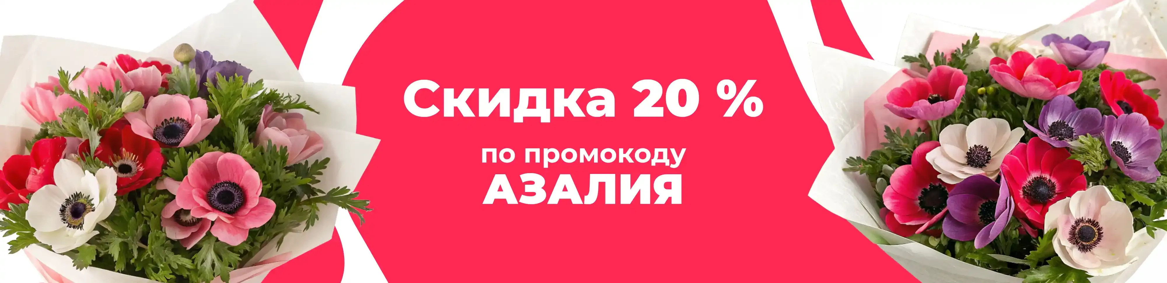 Баннер для рубрики: Анемоны