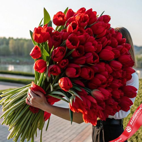 Букет из 400 красных тюльпанов, Россия