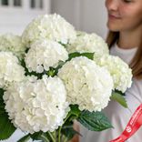 Маленькое фото 3: Букет из 9 белых гортензий