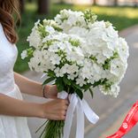 Маленькое фото 1: Букет из 35 белых флоксов с белой лентой