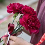 Маленькое фото 1: Букет из 3 малиновых гвоздик с лентой сорта Диантус, Голландия