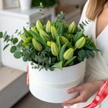 Маленькое фото 1: Букет из 15 зеленых тюльпанов с зеленью в белой коробке, Россия