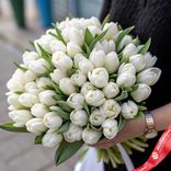 Маленькое фото 1: Букет из 50 пионовидных белых тюльпанов, Голландия
