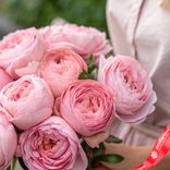 Маленькое фото 3: Букет из 11 пионовидных розовых роз, 50 см, Эквадор