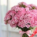 Маленькое фото 2: Букет из 51 розового флокса с розовой лентой
