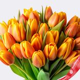 Маленькое фото 2: Букет из 33 оранжево-желтых тюльпанов, Россия