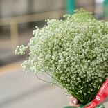 Маленькое фото 2: Букет из 5 зеленых гипсофил с зеленой лентой