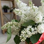 Маленькое фото 2: Корзина с белой сиренью S