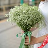 Маленькое фото 1: Букет из 5 зеленых гипсофил с зеленой лентой