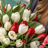Маленькое фото 3: Букет из 40 белых и красных тюльпанов с зеленью