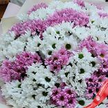 Маленькое фото 3: Букет из 55 кустовых хризантем