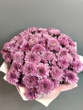 Фото флориста 5: Букет из 25 розовых кустовых хризантем