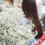 Маленькое фото 3: Букет из 15 белых гипсофил с белой лентой