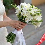 Маленькое фото 1: Букет из 21 белой фрезии с белой лентой