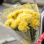 Маленькое фото 2: Букет из 15 желтых гвоздик в пленке с лентой, Голландия