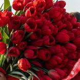 Маленькое фото 3: Букет из 400 красных тюльпанов, Россия