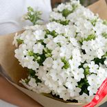 Маленькое фото 2: Букет из 19 белых флоксов в крафте