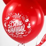 Маленькое фото 5: Композиция из 3 шаров с гелием «1 Сентября. Здравствуй школа», 30 см, вар. 8