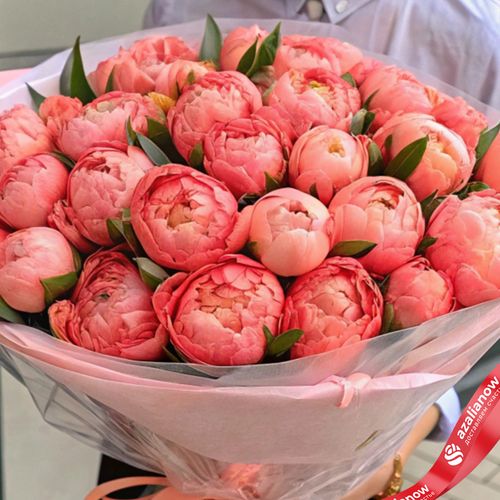 Фото 3: Букет из 101 кораллового пиона Coral Charme в пленке