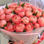 Маленькое фото 3: Букет из 101 кораллового пиона Coral Charme в пленке