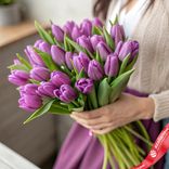 Маленькое фото 1: 25 фиолетовых тюльпанов, Россия