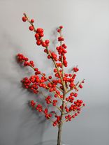 Фото флориста 6: Илекс красный, ветка (букет на Новый год)