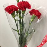 Маленькое фото 1: Букет из 3 красных гвоздик в пленке, Диантус, Голландия