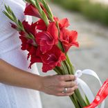Маленькое фото 1: Букет из 3 красных гладиолусов с белой лентой