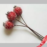 Маленькое фото 1: Гранаты засахаренные на вставке 3шт., D4хH14см, красный