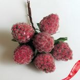 Маленькое фото 3: Набор малины засахаренной на вставках 6шт., D2,2x3xL11см, малиновый