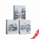 Маленькое фото 1: Пакет подарочный (бумага), 18х24х8см, в асс., вид 9