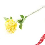 Маленькое фото 2: Роза заснеженная, 53см, светло-желтый
