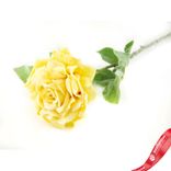 Маленькое фото 3: Роза заснеженная, 53см, светло-желтый