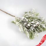 Маленькое фото 2: Ветка Кипарис с шишками заснеженная, 55см, зеленый