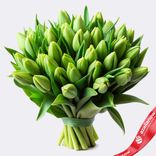 Маленькое фото 1: Букет из 30 зеленых тюльпанов, Россия