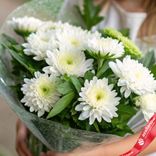Маленькое фото 2: Букет из 9 белых кустовых хризантем с зеленью в пленке, Голландия