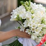 Маленькое фото 2: Букет из 101 белой фрезии с белой лентой