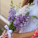 Маленькое фото 2: Букет из 7 сиреневых дельфиниумов с белой лентой