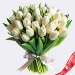 Маленькое фото 1: Букет из 33 белых тюльпанов, Россия