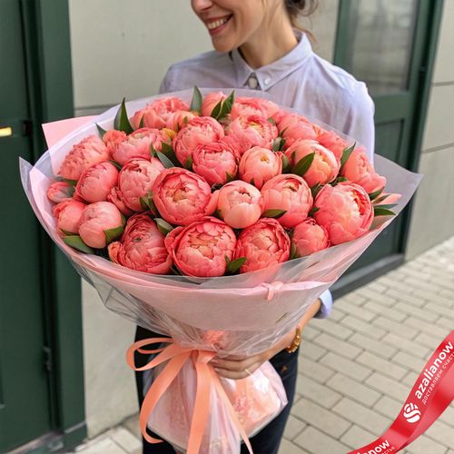 Букет из 101 кораллового пиона Coral Charme в пленке