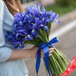 Маленькое фото 1: Букет из 45 синих ирисов с лентой